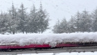 Sneeuw op hekje